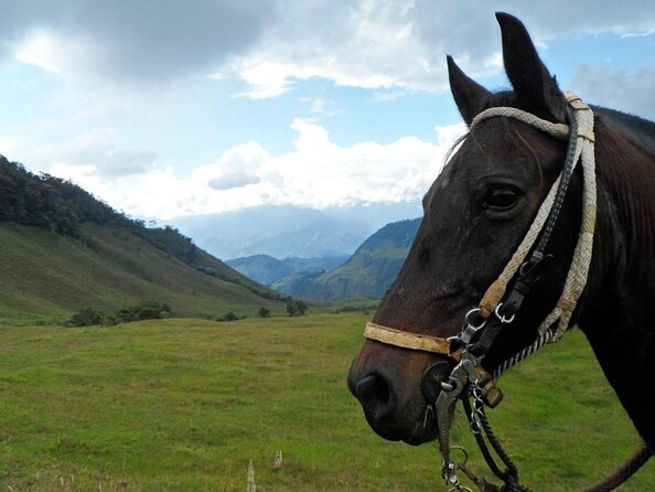 Private Coffee Tour in Jardín Antioquia - Key Points Before You Book