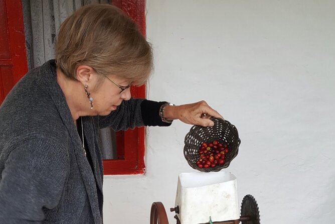 Private coffee tour near Medellín, from bean to cup. - Brewing several styles at the farm