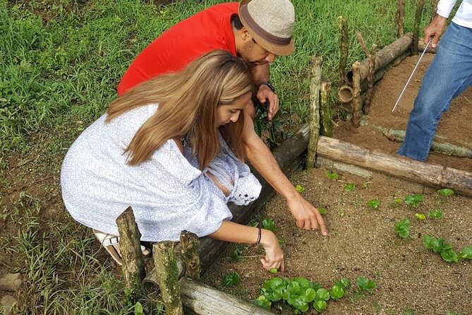 Private coffee tour near Medellín, from bean to cup. - From fruit to green bean