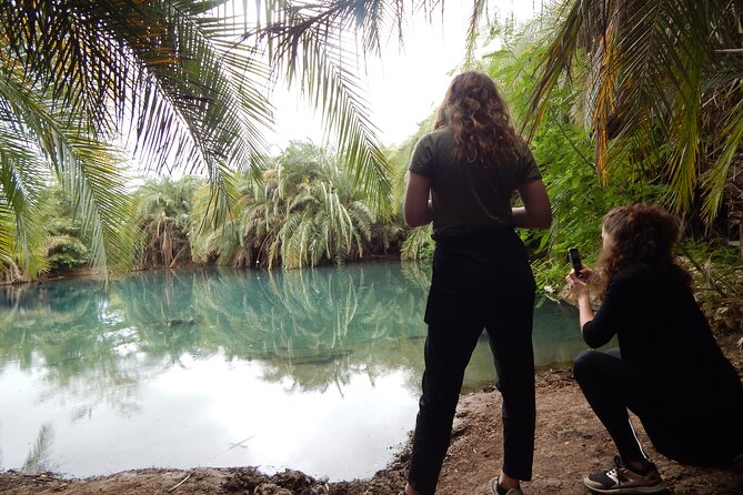 Private Full-Day Materuni Waterfall, Coffee and Hot-spring Tour in Moshi - Key points to know before booking