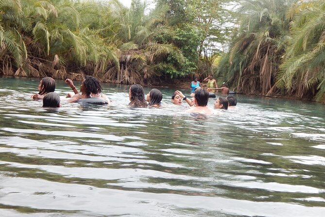 Private Full-Day Materuni Waterfall, Coffee and Hot-spring Tour in Moshi - What the $95 price really covers