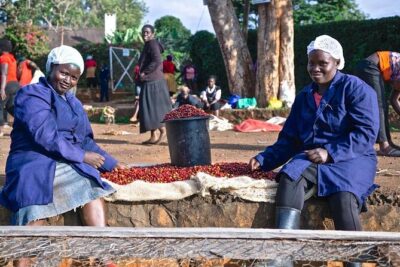 Private Half-Day Tour in Fairview Coffee Farm from Nairobi