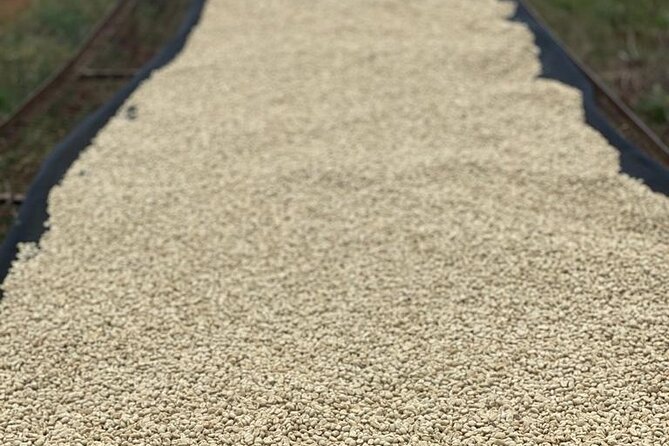 Private Half-Day Tour in Fairview Coffee Farm from Nairobi - What is included, and what costs extra