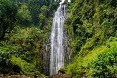 Private Materuni Waterfall & Coffee Tour.