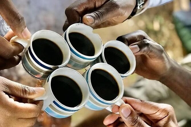Private Materuni Waterfall & Coffee Tour. - What Makes the Private Format Worth $70