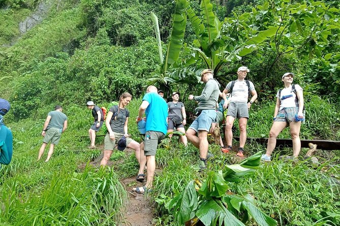 Private Materuni Waterfalls, Coffee Tour and Kikuletwa Hot Spring - Key points to know before booking