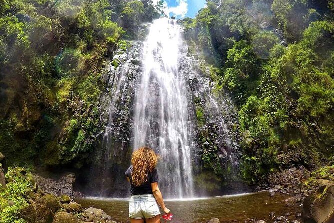 Private Materuni Waterfalls, Coffee Tour and Kikuletwa Hot Spring - A full day built around two kinds of water