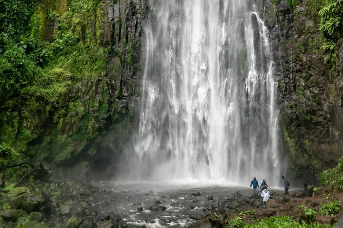 Private Materuni Waterfalls, Coffee Tour and Kikuletwa Hot Spring - How the private format affects the experience