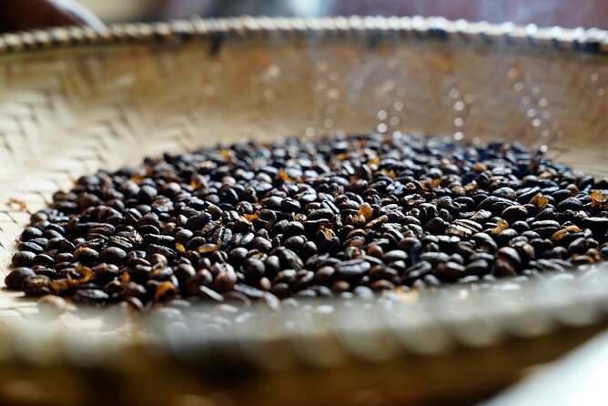 Private Meru Coffee Tour in Nkoaranga - Key points to know before booking