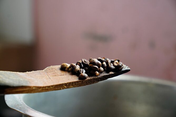 Private Meru Coffee Tour in Nkoaranga - The Small Things and the social purpose