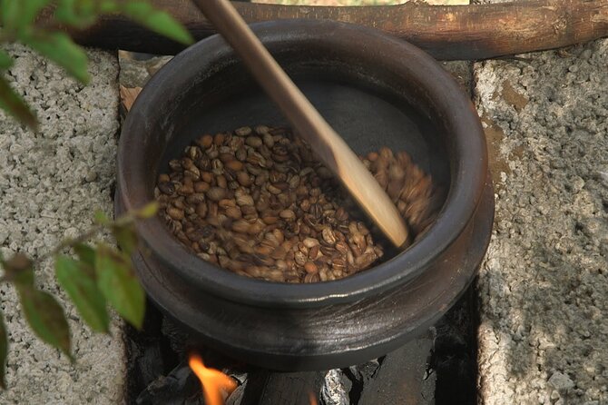 Private Meru Coffee Tour in Nkoaranga - Guide style and the pace of the visit