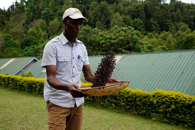 Private Meru Coffee Tour in Nkoaranga - Physical demands and what to wear