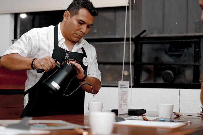 Private Tasting of Chiapas Coffees for 2 Hours - Learning the language of aroma and flavor