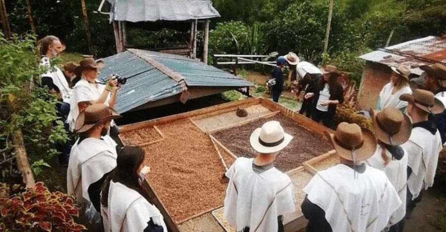 Private Tour to Coffee Farm (farm of your choice) - Who should book this experience