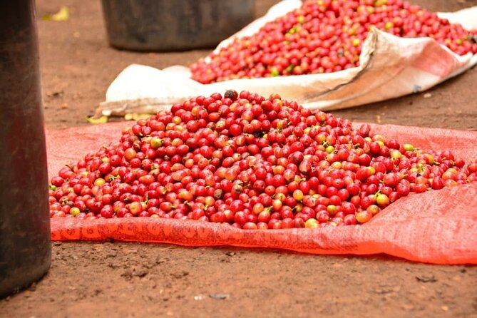 Private Tour to Fairview Coffee Farm in Nairobi with Pickup - Coffee, cookies, and milk in the garden