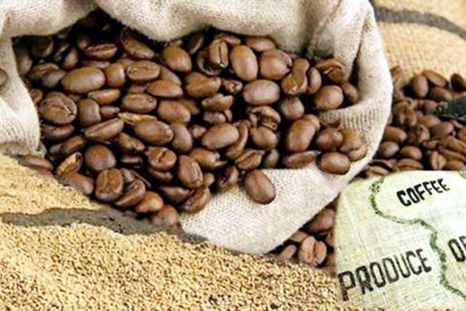 Private Tour to Fairview Coffee Farm in Nairobi with Pickup - Buying coffee at the farm