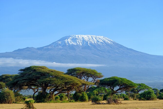 Private Tour to Marangu Waterfalls, Chagga Caves, Coffee tour & Hot Springs - Key points to know before booking