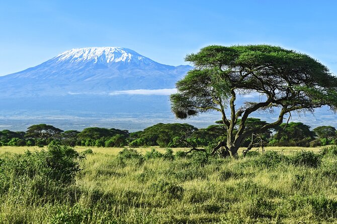 Private Tour to Marangu Waterfalls, Chagga Caves, Coffee tour & Hot Springs - Why this Arusha day trip works