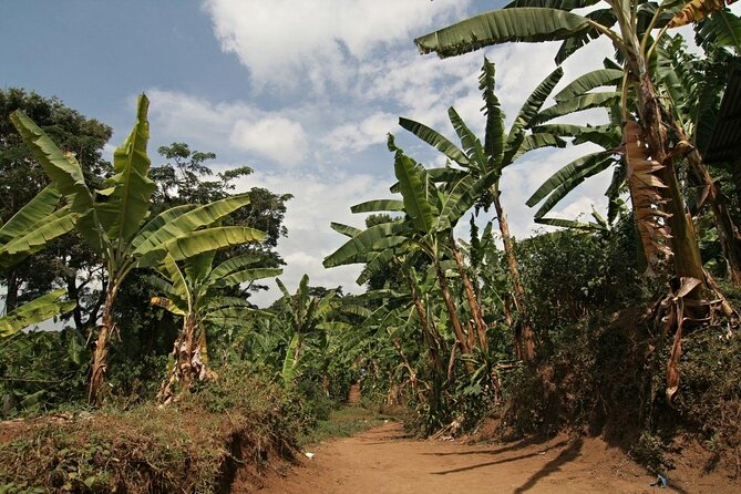 Private Tour to Marangu Waterfalls, Chagga Caves, Coffee tour & Hot Springs - Timing, comfort, and who should book