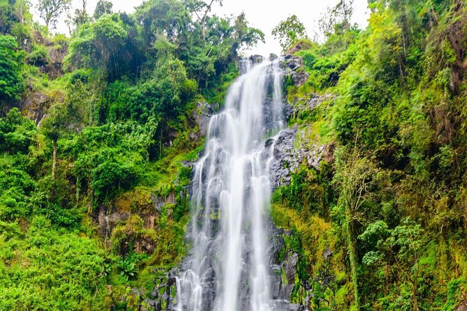 Private Tour to Materuni waterfalls, coffee tour & Kikuletwa hot- springs - Key points to know before you book