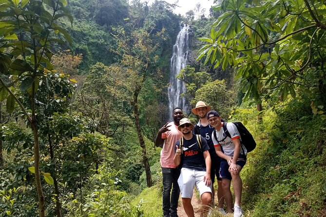 Private Tour to Materuni waterfalls, coffee tour & Kikuletwa hot- springs - Starting at Materuni Waterfalls