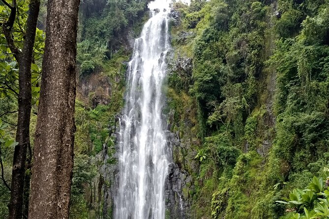 Private Tour to Materuni waterfalls, coffee tour & Kikuletwa hot- springs - Timing, comfort and small planning details