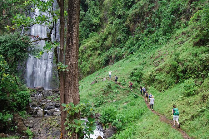 Private Tour to Materuni Waterfalls, coffee tour, Kikuletwa Hot Springs & Maasai - Key points to know before you book