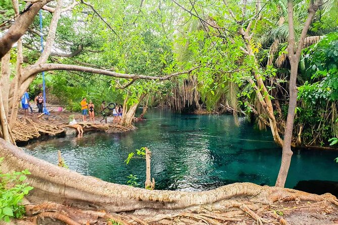 Private Tour to Materuni Waterfalls, coffee tour, Kikuletwa Hot Springs & Maasai - Reaching Materuni Waterfalls by foot