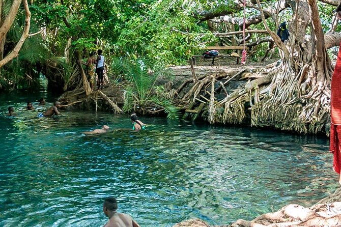 Private Tour to Materuni Waterfalls, coffee tour, Kikuletwa Hot Springs & Maasai - Kikuletwa water beneath palms and fig trees