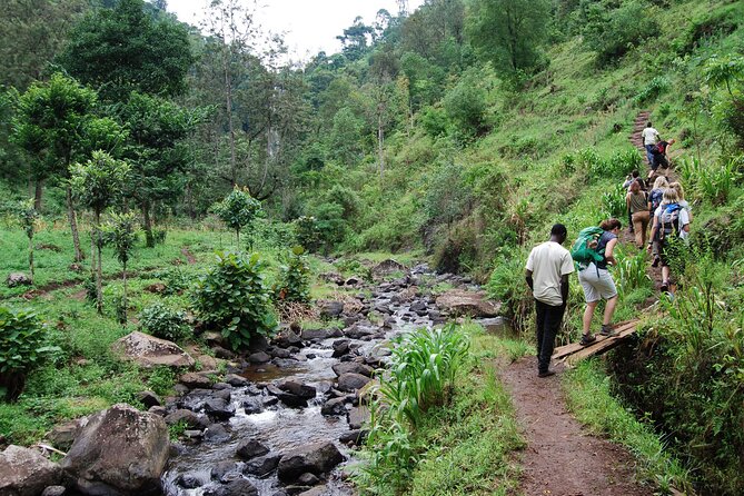 Private Tour to Materuni Waterfalls, coffee tour, Kikuletwa Hot Springs & Maasai - Meeting Maasai families at the boma