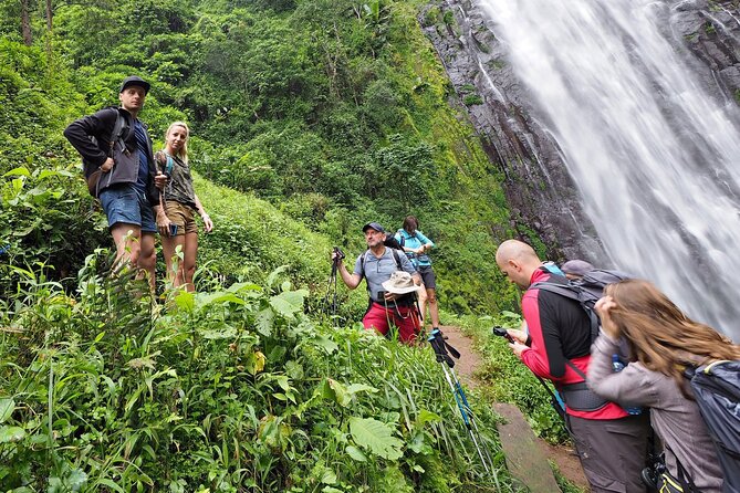 Private Tour to Materuni Waterfalls, coffee tour, Kikuletwa Hot Springs & Maasai - Who will get the most from this day