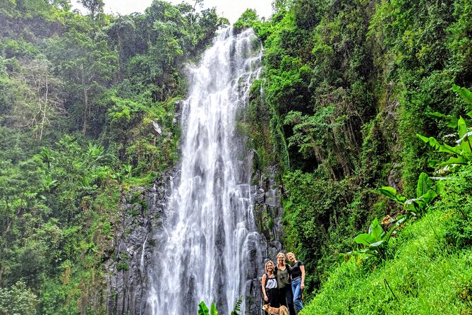Private Tour to Materuni Waterfalls, coffee tour, Kikuletwa Hot Springs & Maasai - Timing, price, and useful planning advice