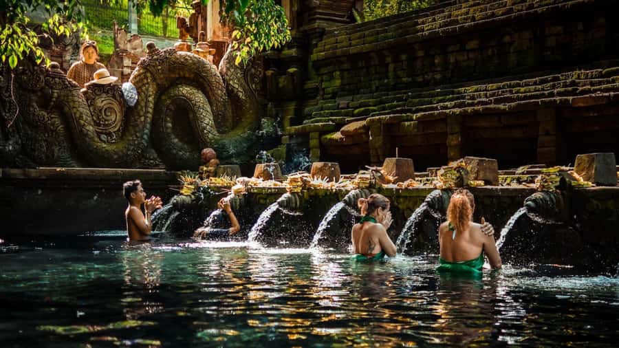 Private Ubud Tour: Sacred Monkeys, Coffee, Temple, Waterfall - Key points to know before booking