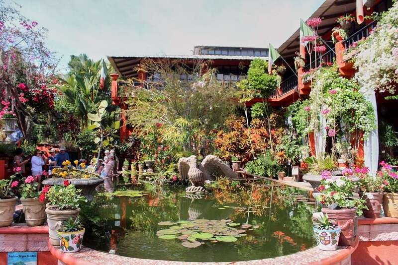 Puerto Vallarta: Botanical Gardens, Distillery & Coffee Tour - Key points at a glance