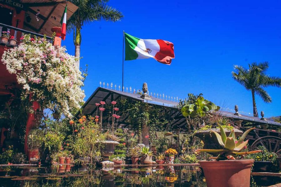 Puerto Vallarta: Botanical Gardens, Distillery & Coffee Tour - Who should book this outing