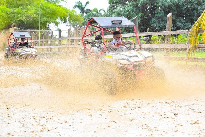 Punta Cana Family Buggy; cave pool, beach, coffee tasting - What the $44 price really covers