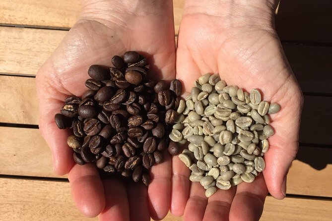 Roast Your Own Coffee - Turning green beans brown in Marin County