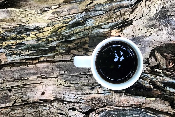 Roasting Experience at 14th Coffee Co - Why the Six-Person Limit Matters