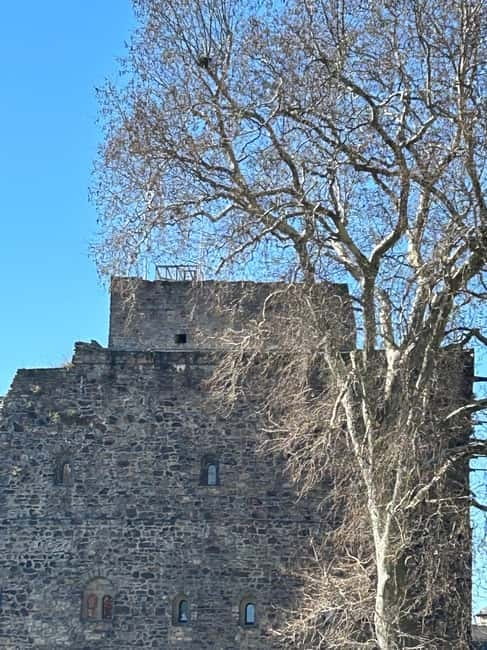 Rüdesheim: City tour with music, wine, and Rüdesheim coffee - Drosselgasse, food tips, and local character