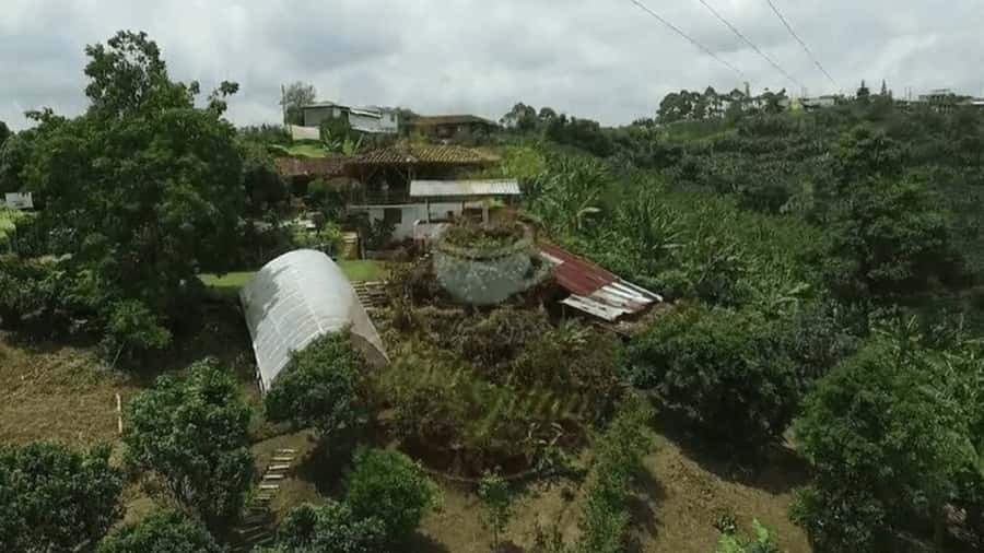 Salento and Cócora Tour + Coffee Farm from Pereira/Armenia - A full Coffee Region day from Pereira or Armenia