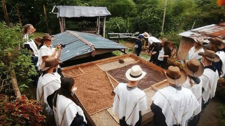 Salento and Cócora Tour + Coffee Farm from Pereira/Armenia - Salento gives the day its human side