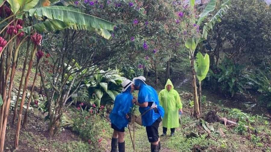 Salento and Cócora Tour + Coffee Farm from Pereira/Armenia - Why the private group changes the value