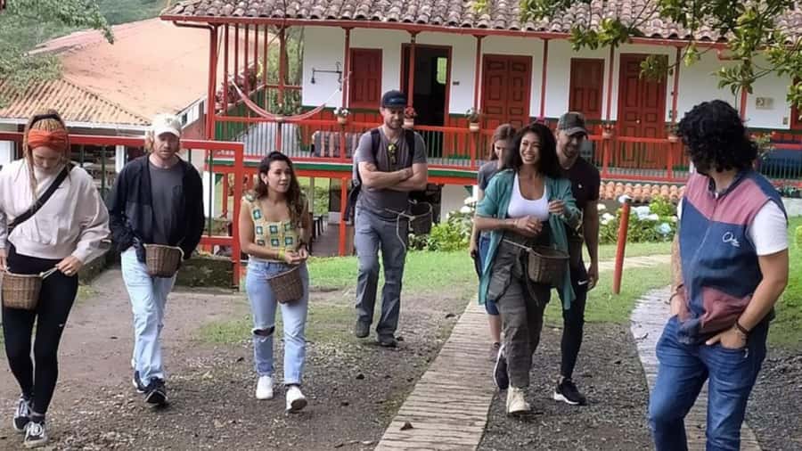 Salento and Cócora Tour + Coffee Farm from Pereira/Armenia - What the price includes, and what it leaves out