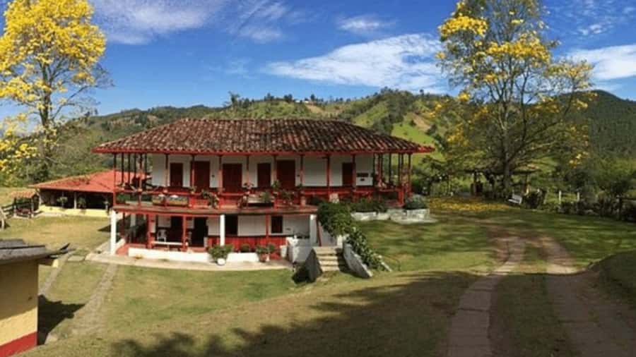 Salento and Cócora Tour + Coffee Farm from Pereira/Armenia - Cocora’s wax palms are the visual high point