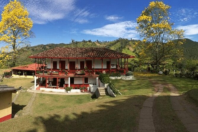 Salento and Cócora Tour plus Coffee Farm from Pereira or Armenia - Why this seven-hour route works