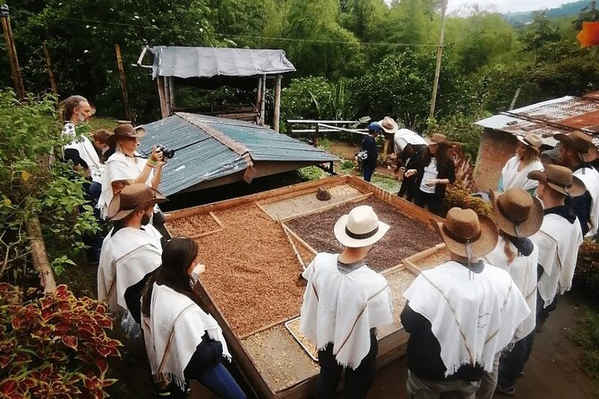 Salento and Cócora Tour plus Coffee Farm from Pereira or Armenia - Salento’s Royal Street in a one-hour visit