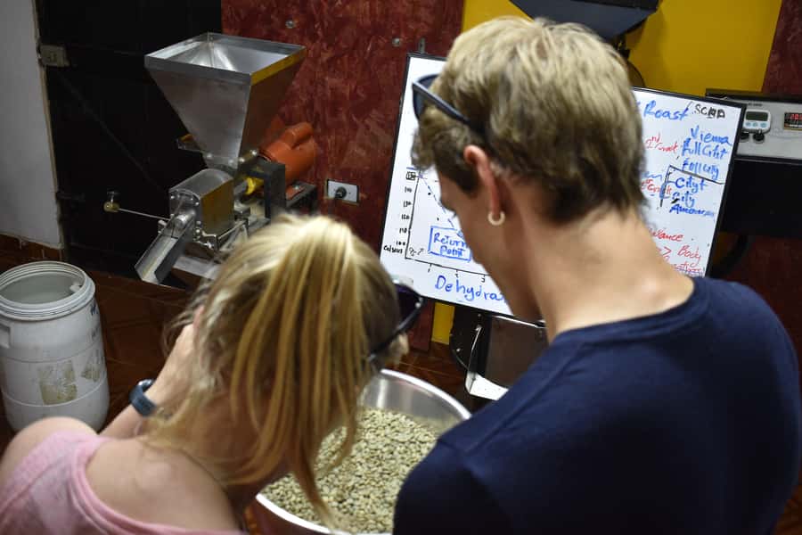 Salento: Coffee Master Roasting, Brewing and Tasting Tour - From green bean to finished cup in two hours