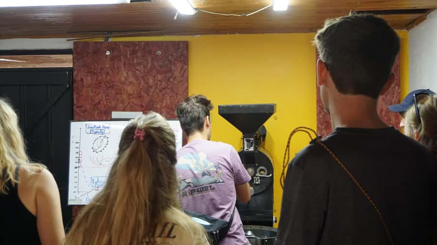 Salento: Coffee Master Roasting, Brewing and Tasting Tour - Four brewing methods, five coffees