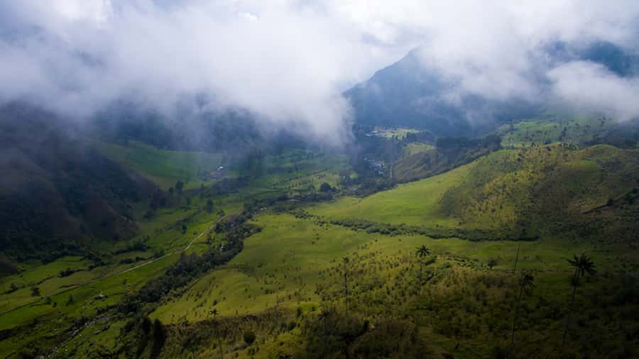 Salento: Private Cocora Valley, Salento & Coffee Farm Tour - What to bring for a smoother day