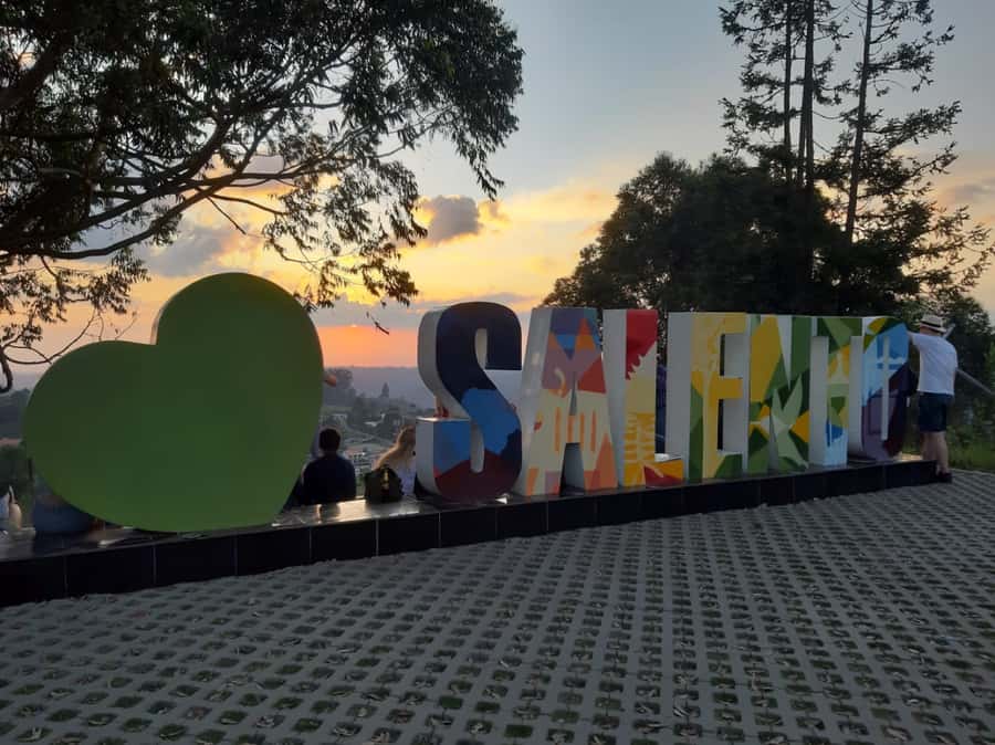 Salento: Private Cocora Valley, Salento & Coffee Farm Tour - Why Cocora Valley deserves the first half of your day